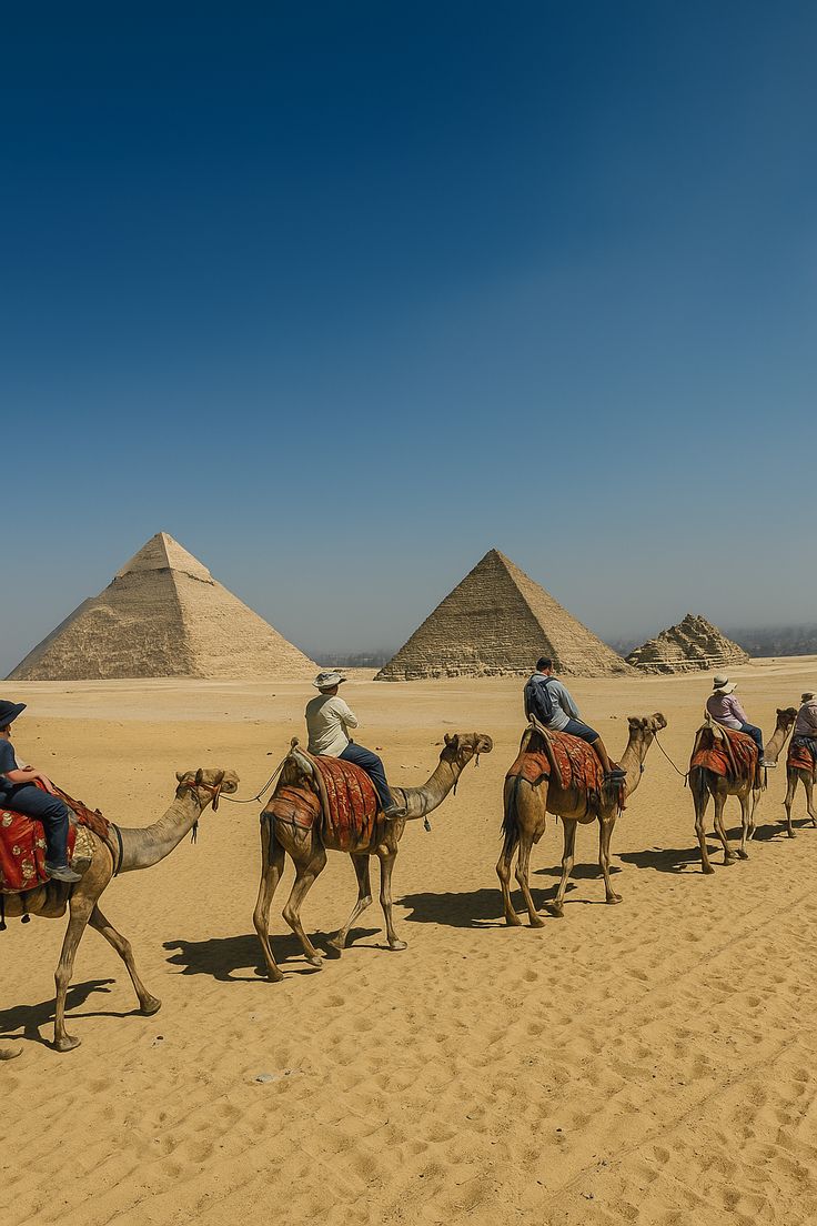 Camel Treks